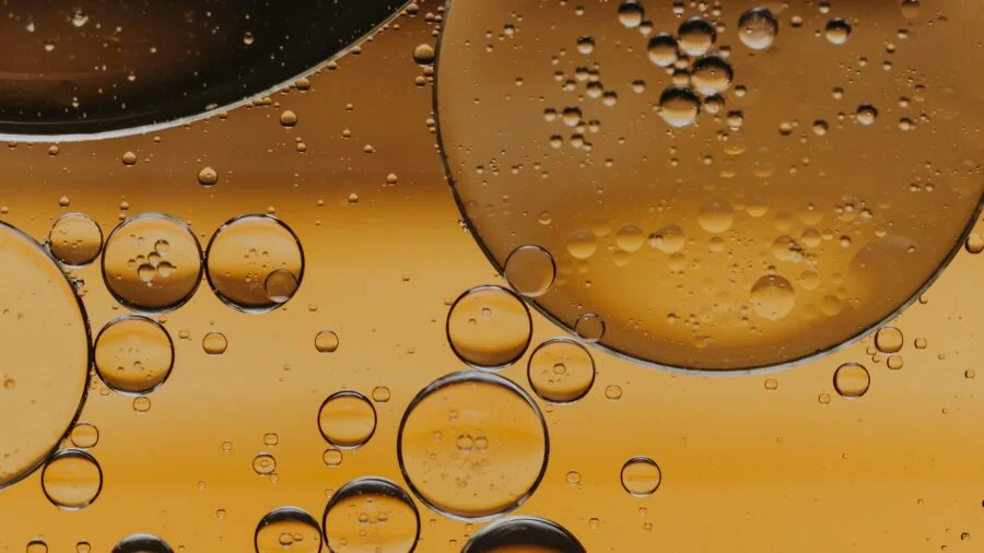 Capacity Increase: Whey By-Product Production