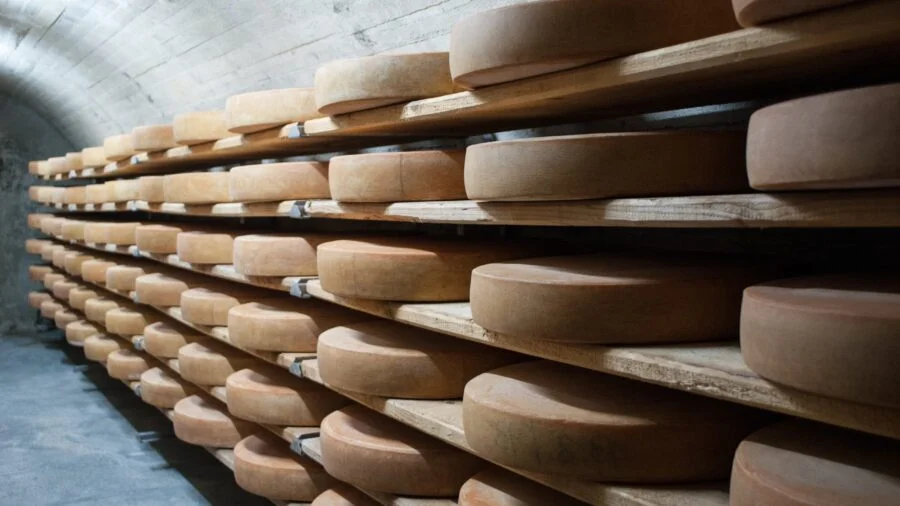 Waste Reduction: Cheese Production